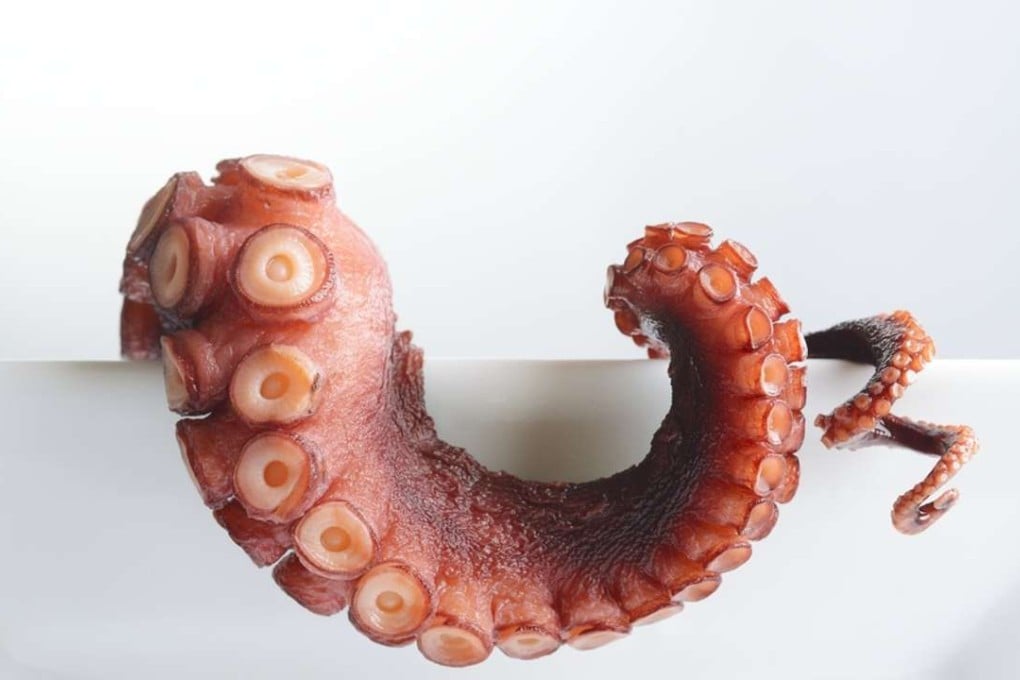 Octopus tentacle. Shutterstock