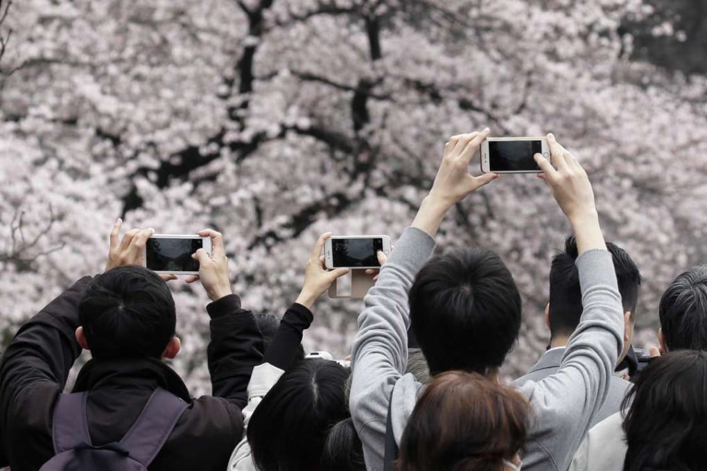 Cherry blossom season in Tokyo. Picture: Bloomberg