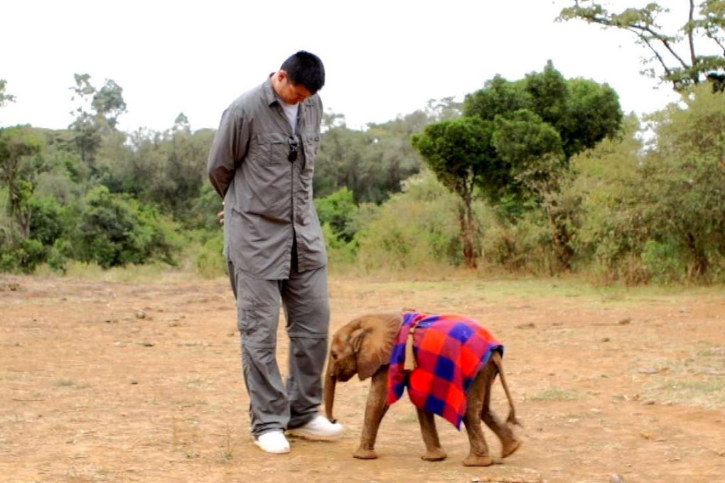 Basketball star Yao Ming, seen here with a baby elephant at the David Sheldrick Wildlife Trust in Kenya, has fronted publicity campaigns that aimed to curb the trade in ivory. Photo: AP/Animal Planet
