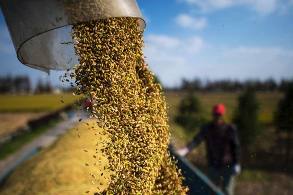 Chinese authorities will launch new futures products this year, including crude oil futures and agricultural commodity options. Photo: AFP