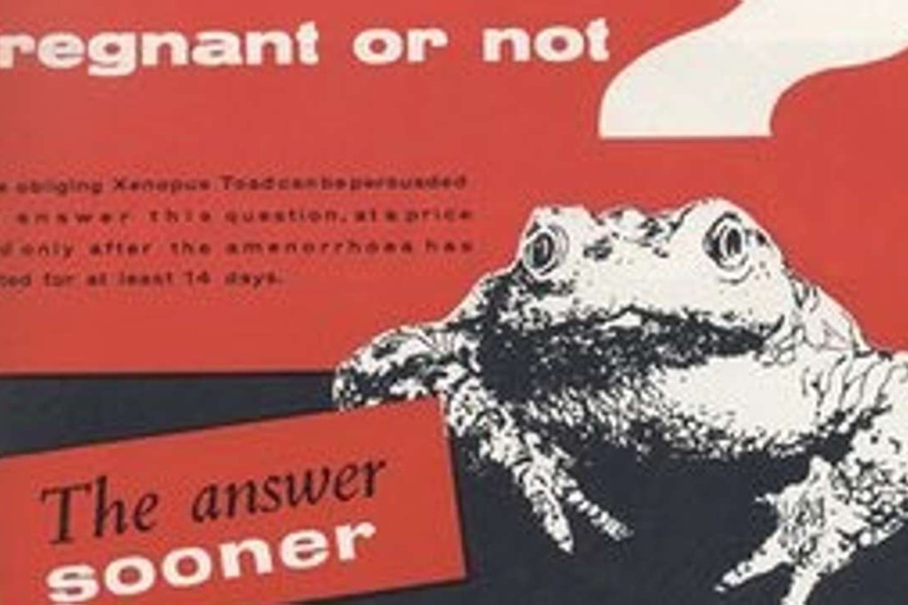 An advertisement from 1960 touts the benefits of the Primodos pregnancy test, compared to another test of the time that involved injecting women's urine into live toads. Photo: Practitioner Medical Publishing Ltd