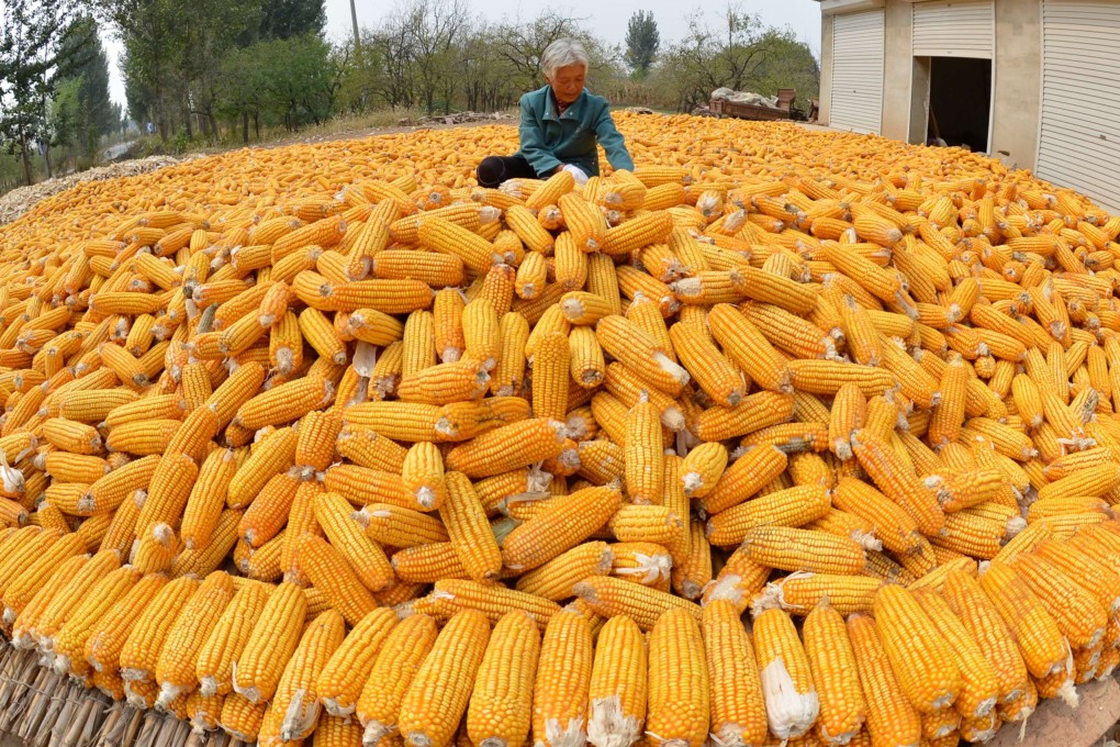 Chart of the day: Corn to turn the corner?