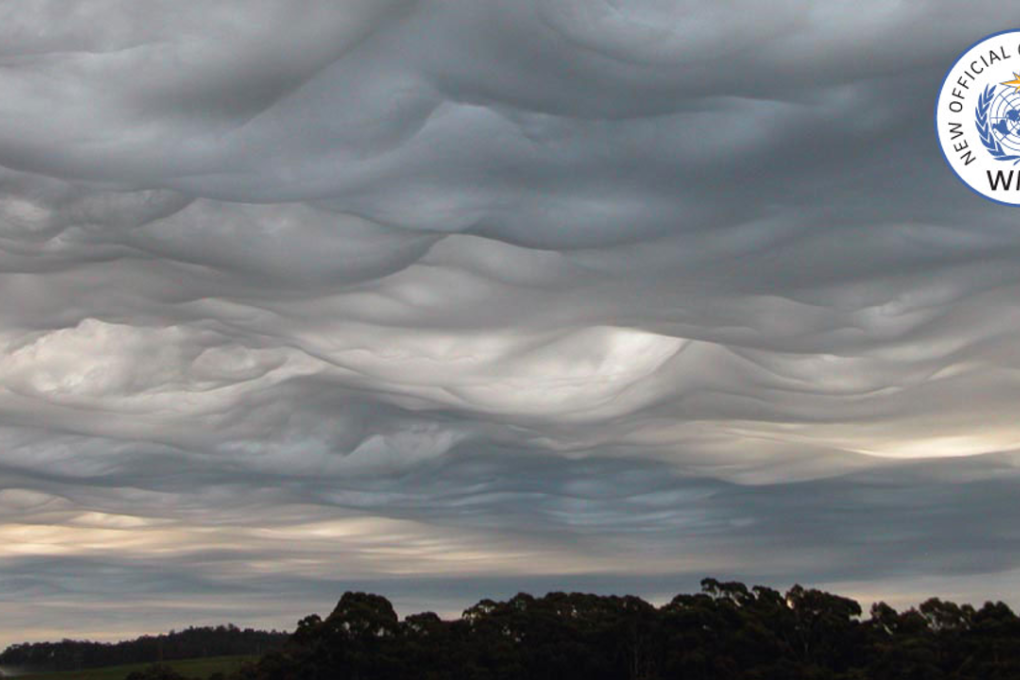 The newly classified Asperitas cloud spotted over Burnie, Tasmania, Australia. Photo: Gary McArthur/cloudappreciationsociety.org