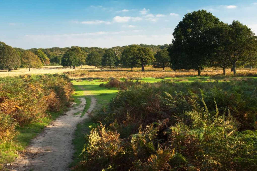 Richmond Park. Picture: Alamy