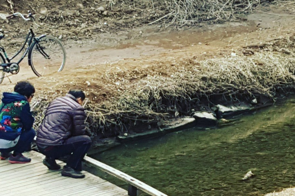 Koreans suffered the most severe depression after a spouse's death, surpassing the U.S., the U.K., China and Europe, according to University of Michigan Prof. Apoorva Jadhav's study. Photo: Twitter