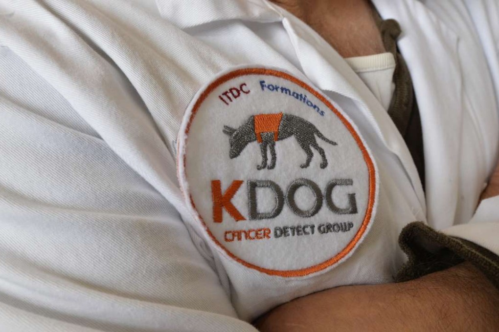 The Kdog project trains German shepherd dogs to detect breast cancer by sniffing a piece of cloth that has touched the breast of a sufferer. Photo: AFP
