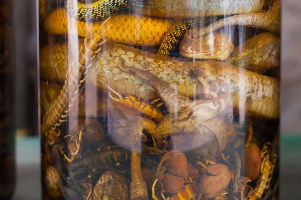 Snake wine