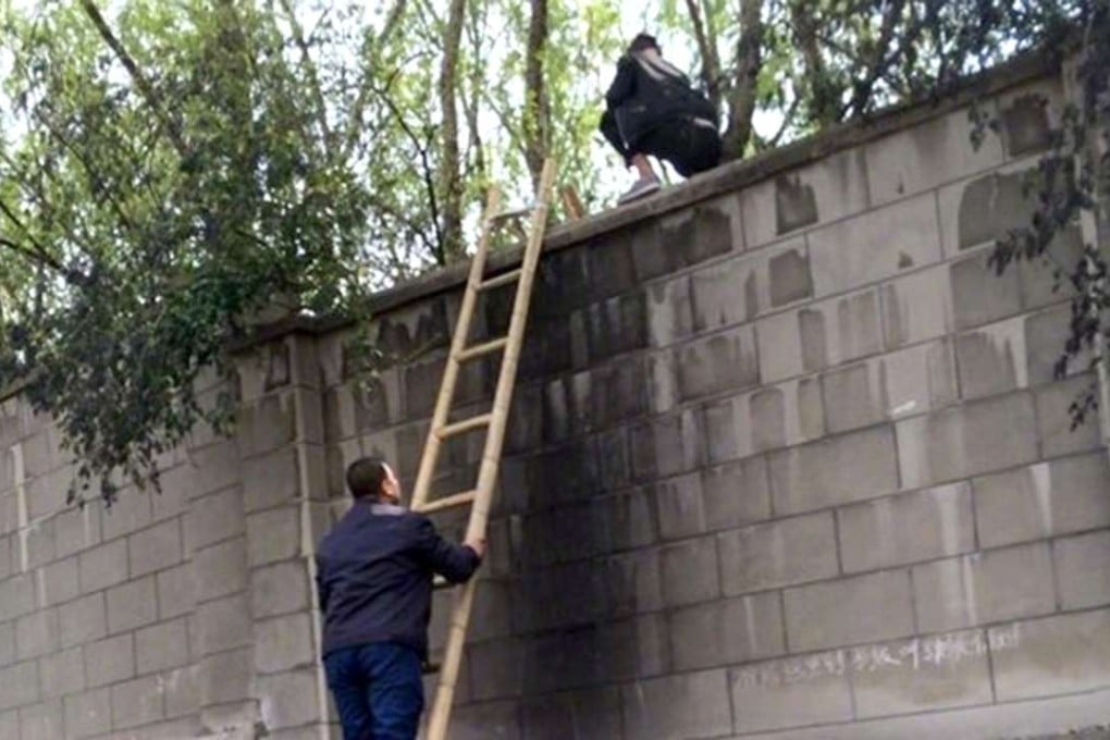One of the ladders hired out to tourists to get into the park more cheaply. Photo: Ifeng.com