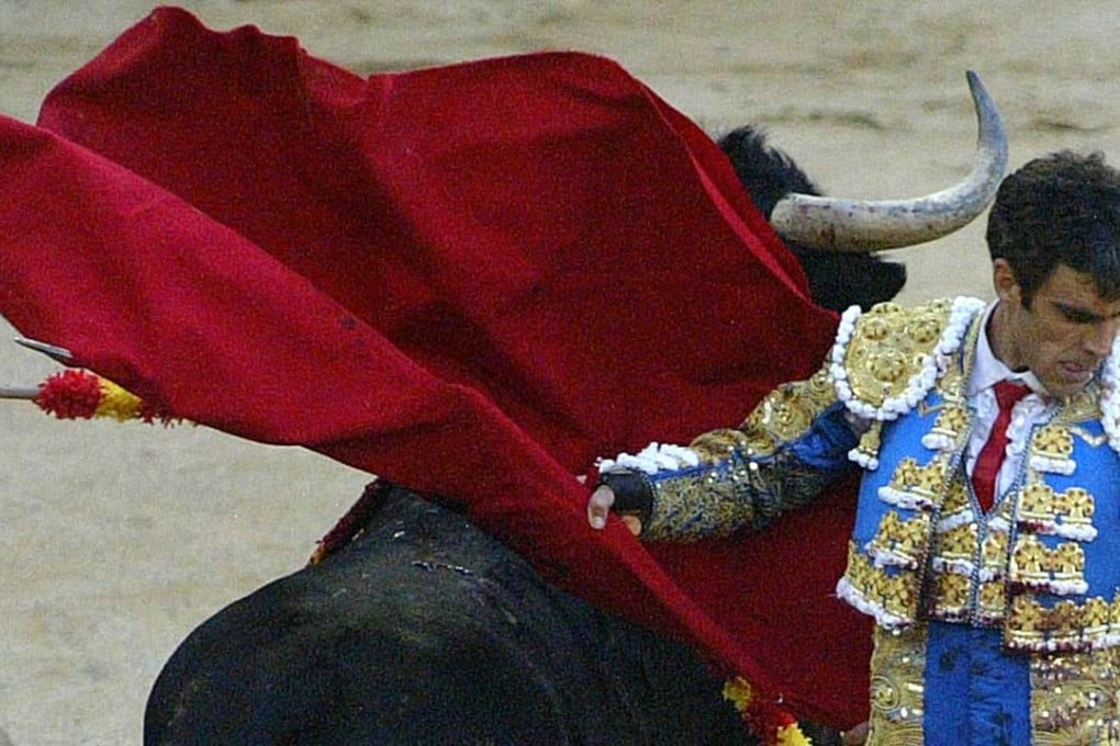 A bull fight in Spain as a matador was gored and had surgery over the weekend. Photo: AFP