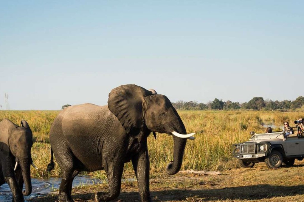 elephants in DumaTau Camp in Linyanti, Botswana. A strong earthquake has hit the African nation. Photo: Handout