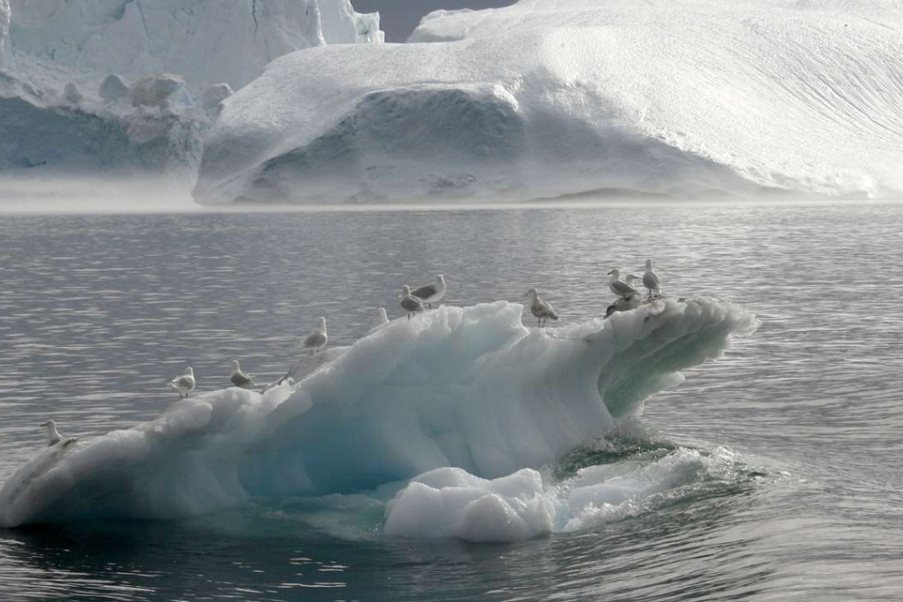 Seagulls stand on an iceberg floating in a fjord near Ilulissat in Greenland where a bid by a Chinese mining firm to buy an abandoned naval base was turned down by Denmark. Photo: AFP