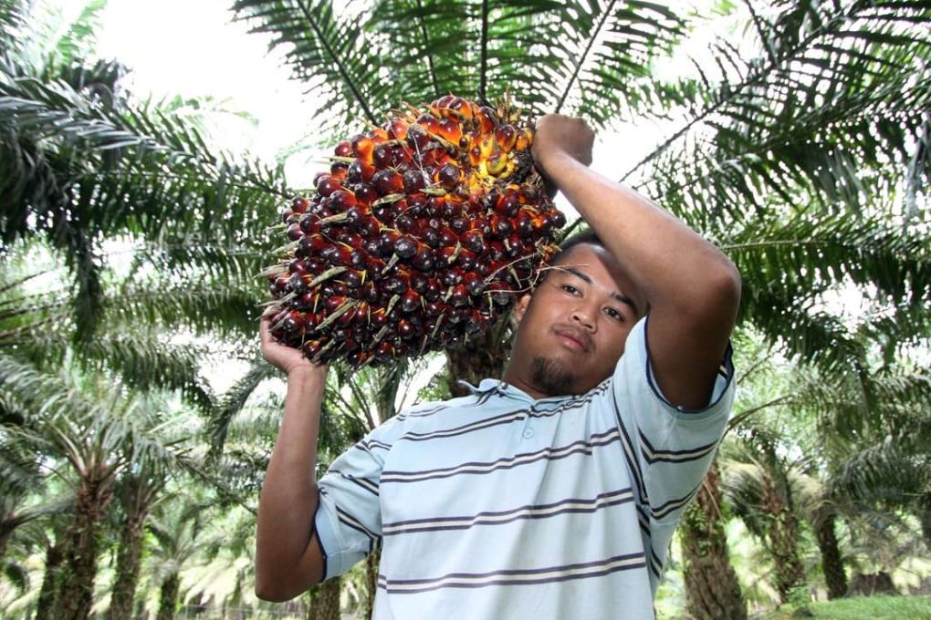 A farmer carries palm oil fruit at a Felda plantation in Bukit Kuantan, Malaysia. Photo: AFP
