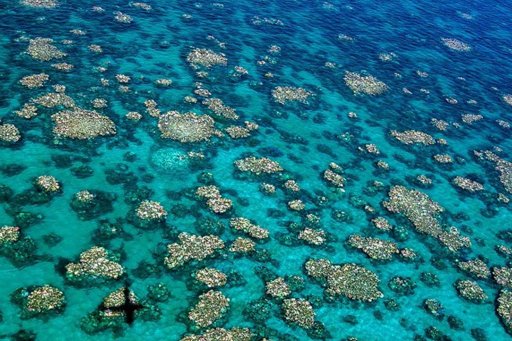 An aerial view of Cairns Townsville bleaching. Photo: Ed Roberts, ARC Centre of Excellence for Coral Reef Studies