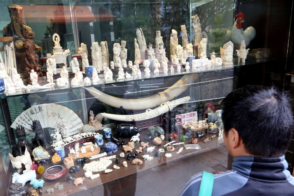 A shop display of ivory products on Hollywood Road in Sheung Wan, in January last year. The Hong Kong government plans to table a bill in June to ban the ivory trade and will provide a five-year phasing-out period for the market. Photo: Nora Tam