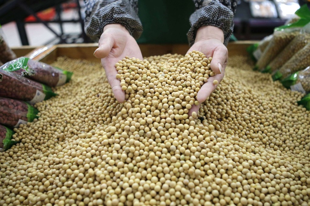 Chart of the day: Sharp swings in Dalian soya bean futures