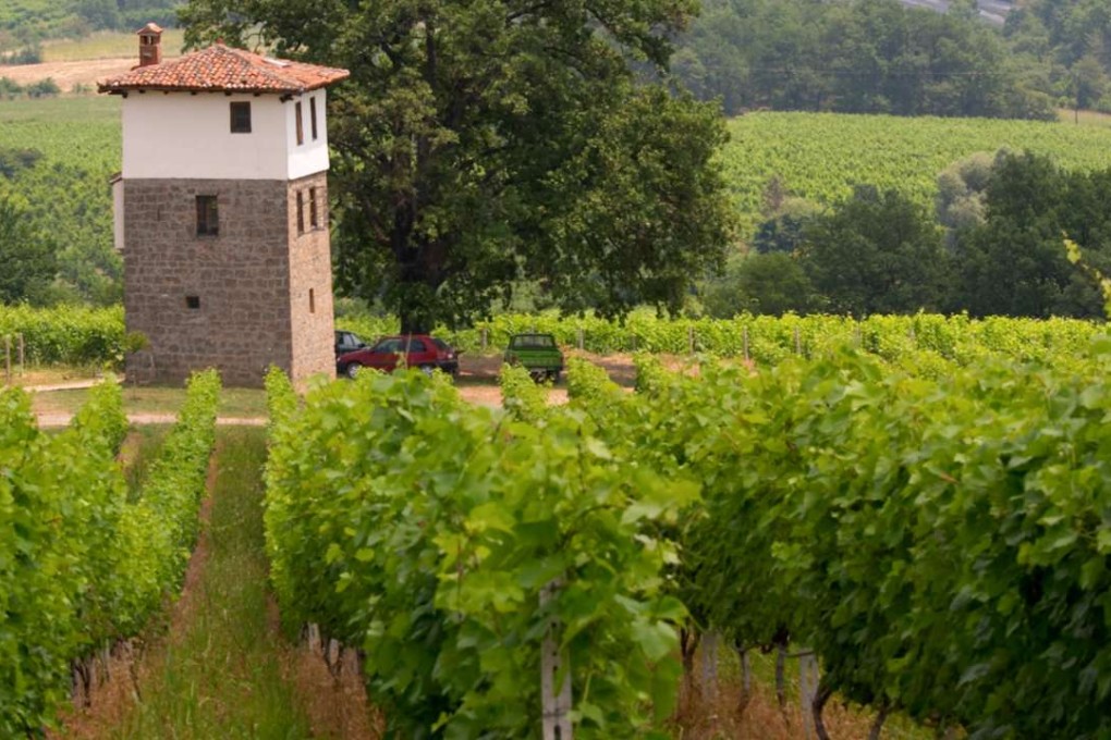 Kir-Yianni Winery, in Greece. Picture: Alamy