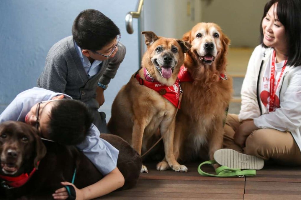 A volunteer (right) spends time with two students as part of Animals Asia Foundation’s dog therapy programme. The Dr Dog programme arranges for volunteers to take their dogs to hospitals, homes for the elderly and schools for visits. Photo: Xiaomei Chen