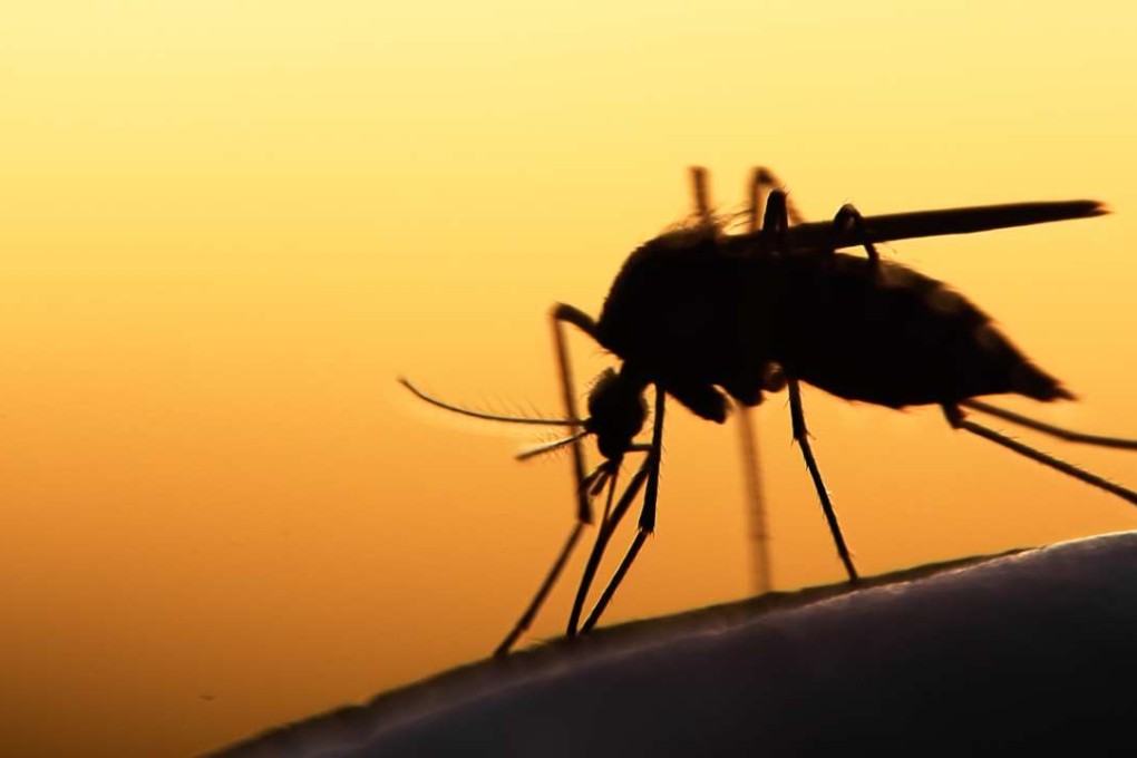 Malaria continues to kill more than 400,000 people every year. In 2015, almost 70 per cent of all malaria deaths were among children under five. Photo: Shutterstock