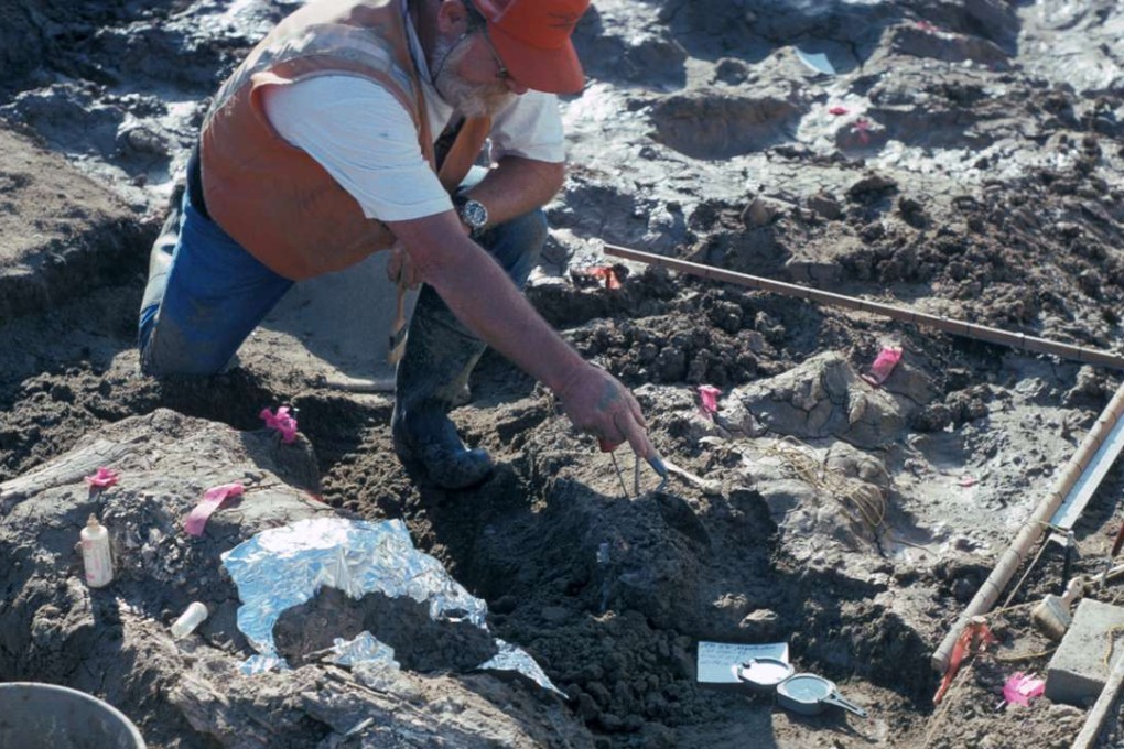 Palaeontologist Don Swanson points at rock fragments near a large horizontal mastodon tusk fragment in San Diego, California. Photo: Reuters