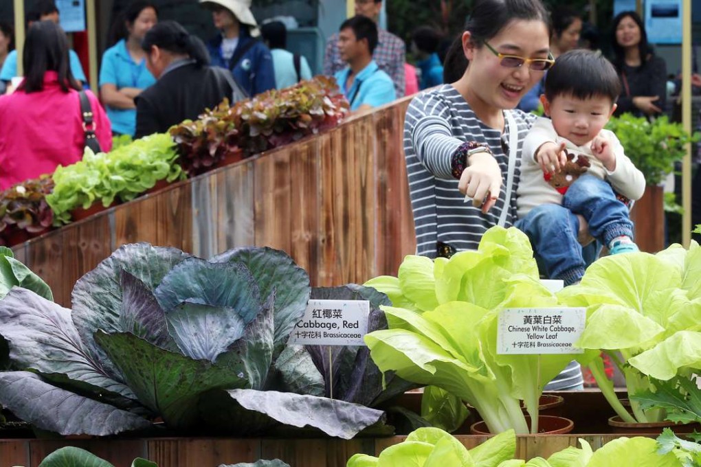Families enjoy the opening day of Farmfest 2016 at Fa Hui Park in Mong Kok, on January 7 last year. The city’s largest outdoor farmers’ market is organised by the Agriculture, Fisheries and Conservation Department and aims to promote these sectors. Photo: K. Y. Cheng