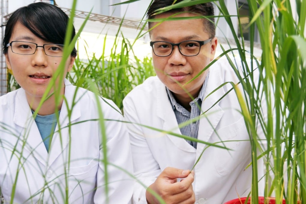 Lydia Lam and Clive Lo hope the government can put more resources into plant science. Photo: Xiaomei Chen