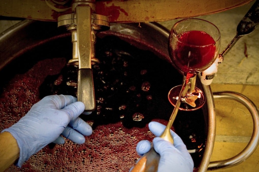 A vintner checks a red wine during the production process. Pictures: Alamy