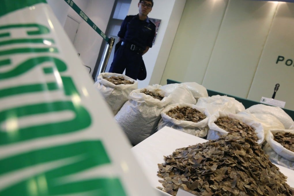 Hong Kong Customs seized about 2,340 kilograms of pangolin scales worth $12million. in 2014. Photo: Felix Wong