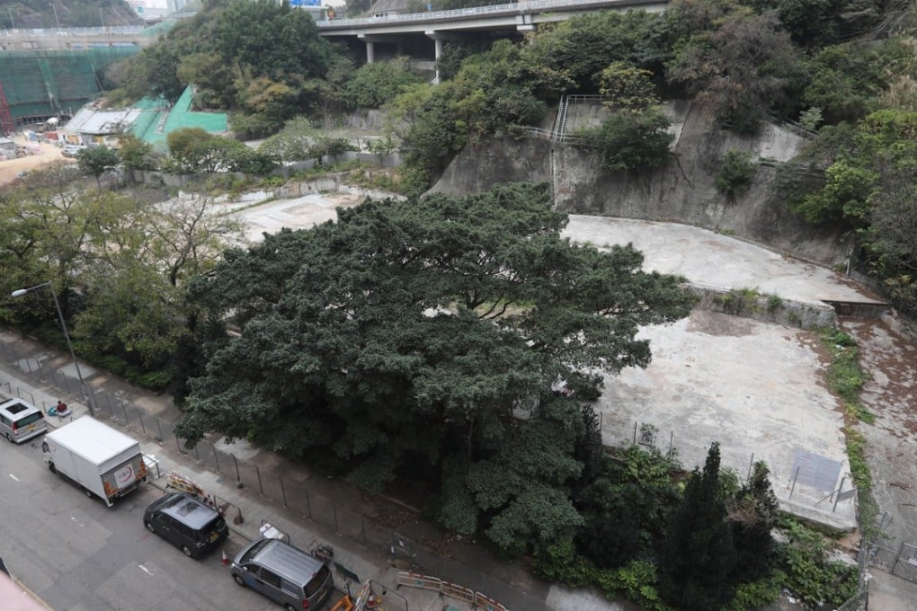 The site at King Lam Street, Cheung Sha Wan, won by New World Development in February. Photo: Edward Wong