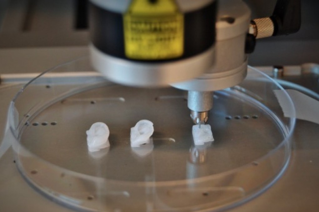 Scientists are banking on 3D printing in their efforts to build biosynthetic organs amid a shortage of organ donation. Photo: Cellink