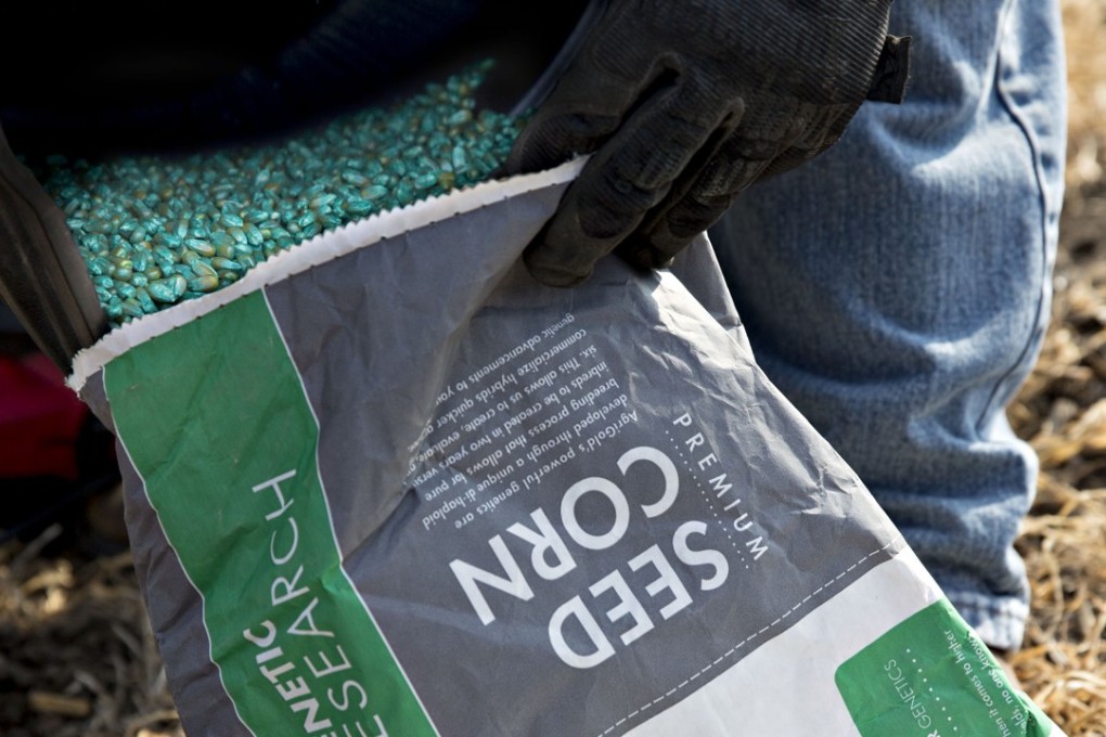 A farmer pours AgReliant Genetics LLC AgriGold brand corn seeds into a bag on a field in Princeton, Illinois. The new trade deal between the US and China should boost the sale of GMO seeds developed by US companies in its biggest market in China. Photo: Bloomberg