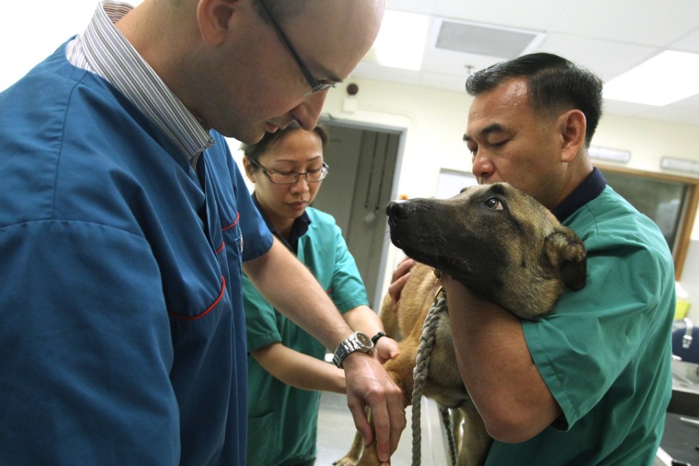 While the Veterinary Surgeons Board regulates qualifications, it should make greater efforts to promote a voluntary standard of practice such as the transparency of costs. Photo: Sam Tsang