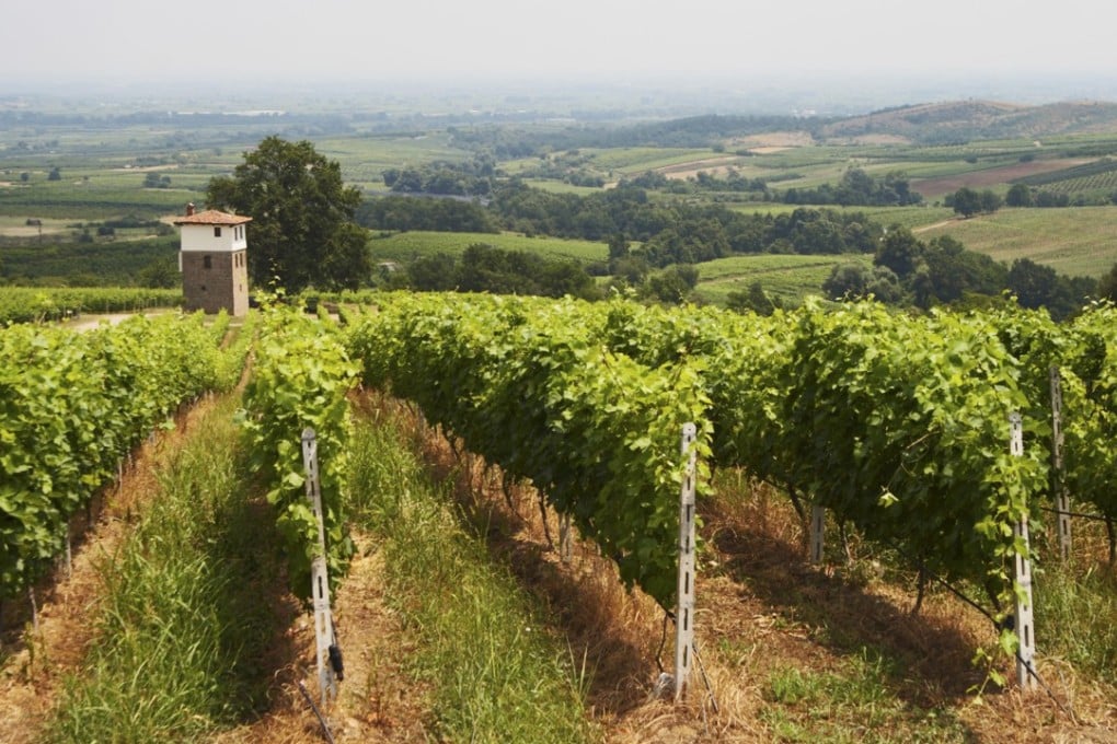 The Kir-Yianni winery in Naoussa, Greece. Pictures: Alamy