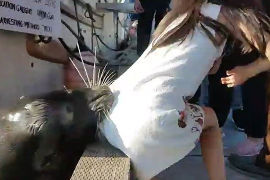 The young girl and her family were left shaken after a large sea lion grabbed and pulled her underwater near Vancouver. Photo: Michael Fujiwara