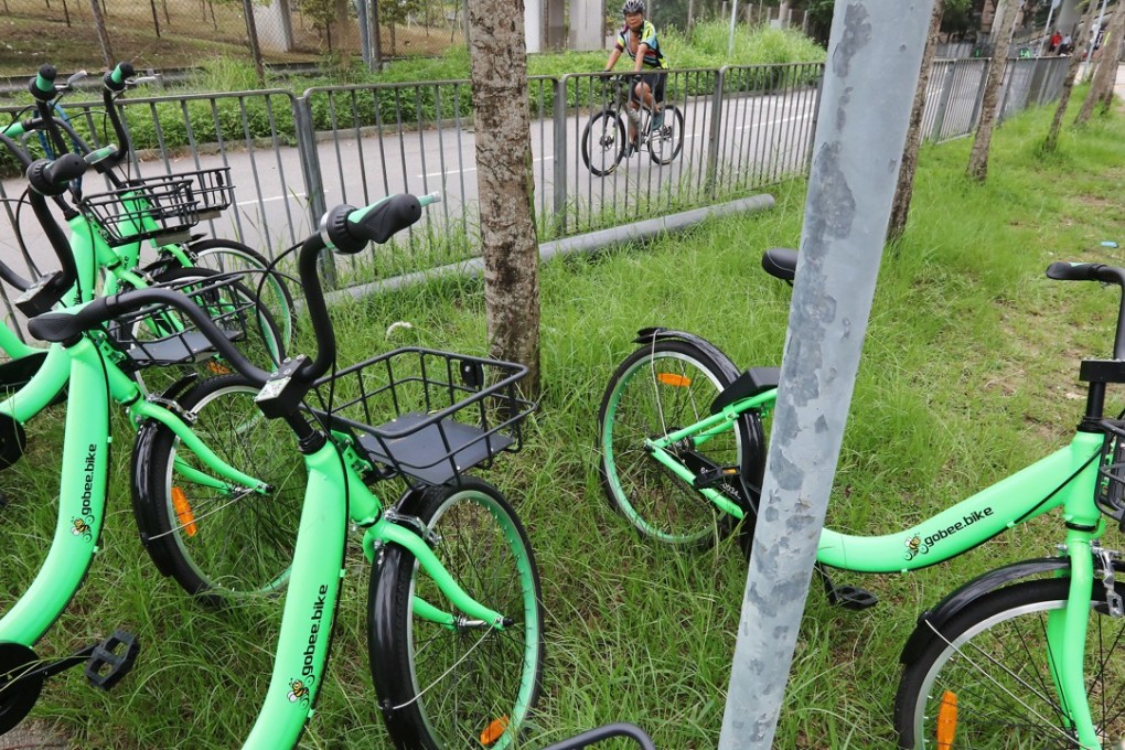 Gobee’s bikes parked at Yuen Chau Tsai in Tai Po. Photo: Felix Wong
