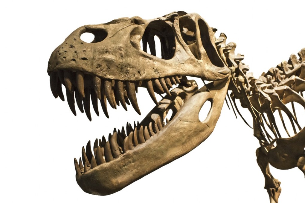 Dragon Teeth by Michael Crichton (published by Harper) is based on the real-life race for fossils between Othniel Charles Marsh and Edward Drinker Cope. Photo: Shutterstock
