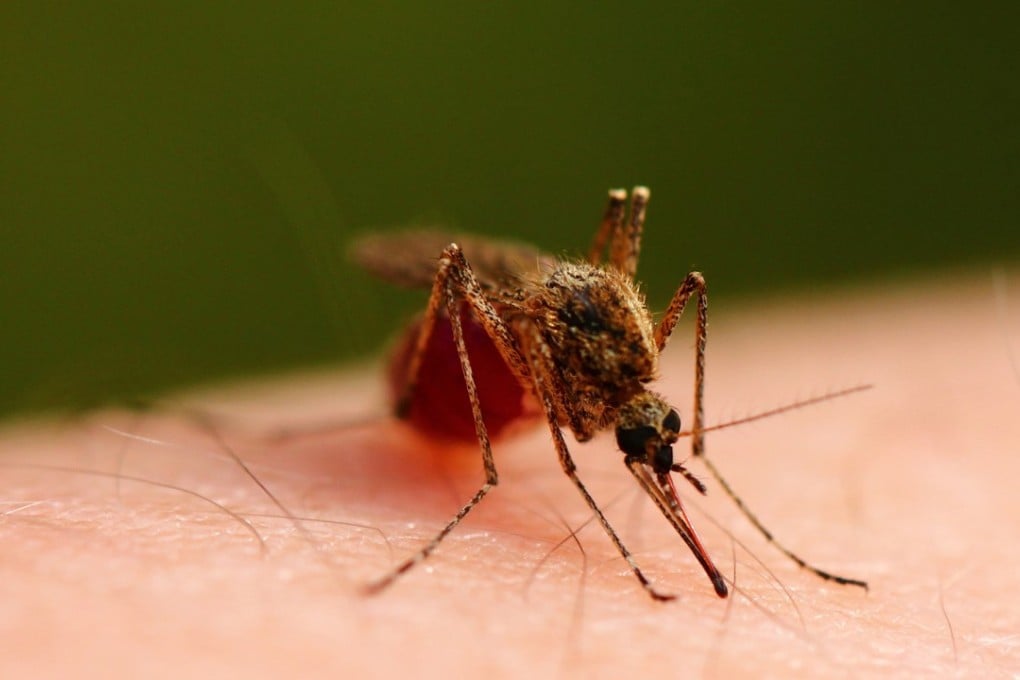 As public health agencies gear up for mosquito season, uncertainty remains around what resources states may need with regards to Zika and whether they will receive adequate federal support from Washington. Photo: TNS