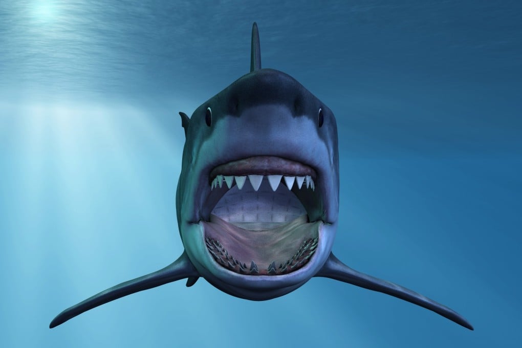 Squalene, present in shark livers, is what you need to reduce puffiness and dark circles. But it’s found in olives, amaranth, sugarcane and rice, so leave the poor fish alone. Also, where to find an on-trend gypsy blouse this summer