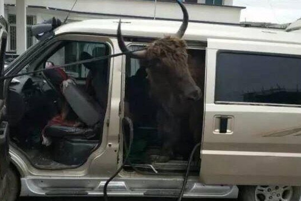 The scene that greeted police officers in the early hours of Tuesday in Daofu in Sichuan province. Photo: Handout