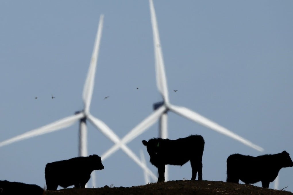 Cattle graze against a backdrop of wind turbines at a wind farm near Vesper, in the US state of Kansas, in 2015. There are now more than 800 climate-change laws and policies in place across the world, and domestic efforts to battle global warming will continue. Photo: AP