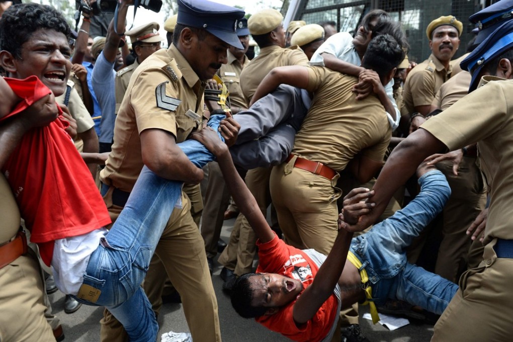 Indians protest against a ban on the sale of cows for slaughter. Photo: AFP