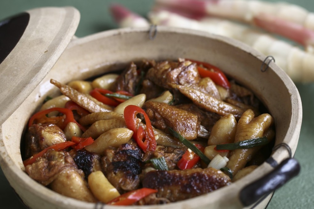 Braised chicken with pickled young ginger.