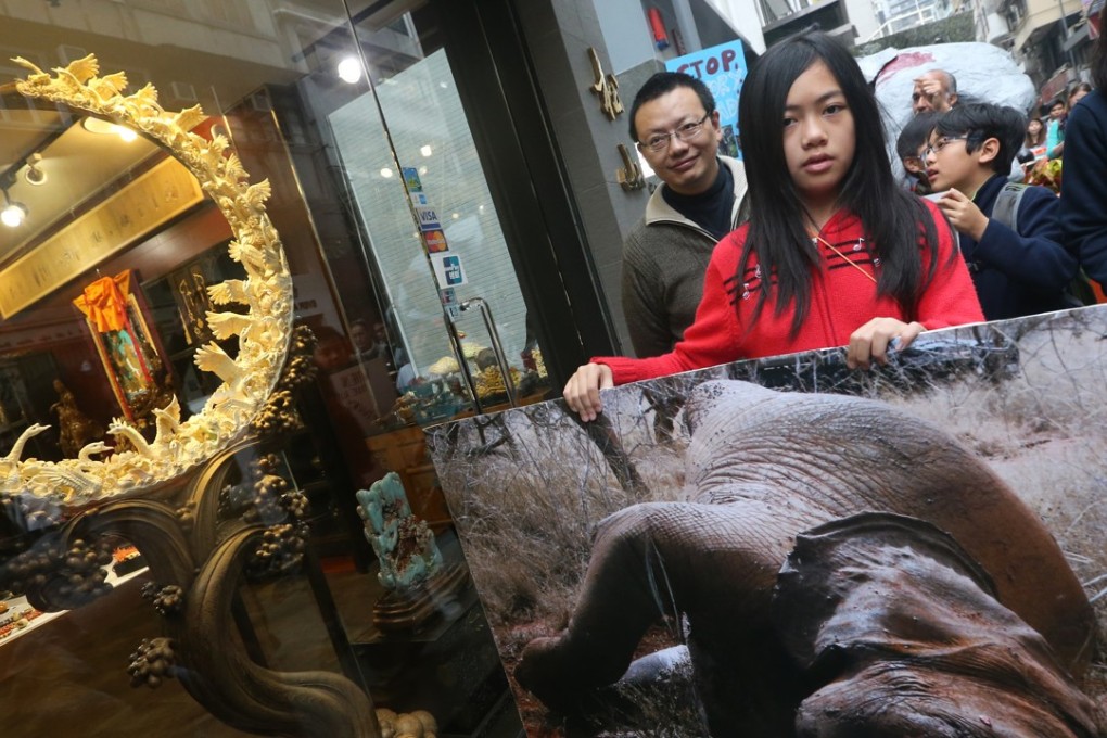 A girl holds a poster of an elephant killed for its tusks during a protest rally calling for an end to the ivory trade, in Sheung Wan in 2015. Elephant populations have fallen by almost one third in the past decade. Photo: David Wong