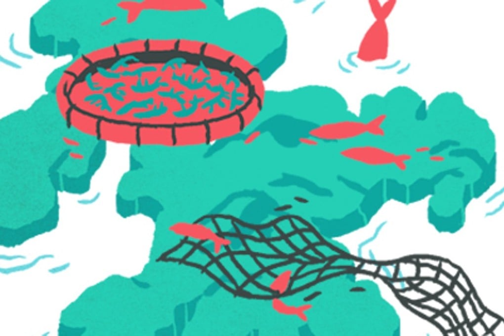 Illustration: Terri Po