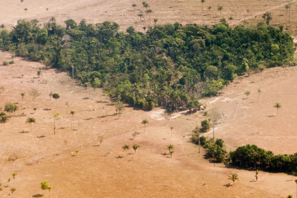 Today is World Environment Day. How much do you know about the dangers facing our planet?