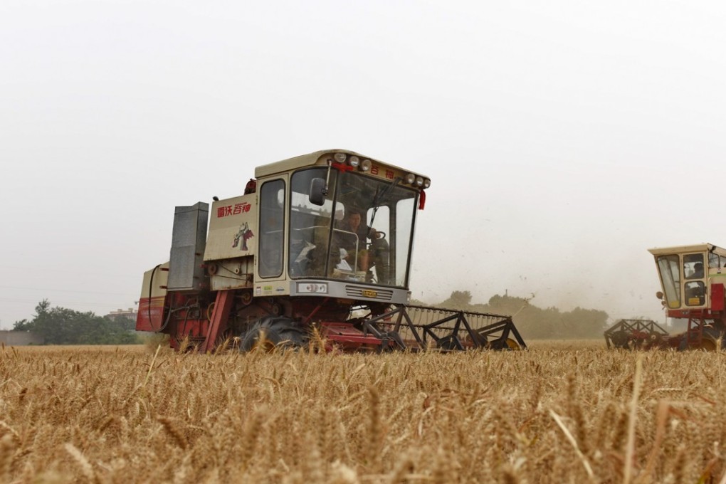 Reapers harvest wheat in Hebei Province, where developers bid furiously for plots in Zhengding. Photo: Xinhua