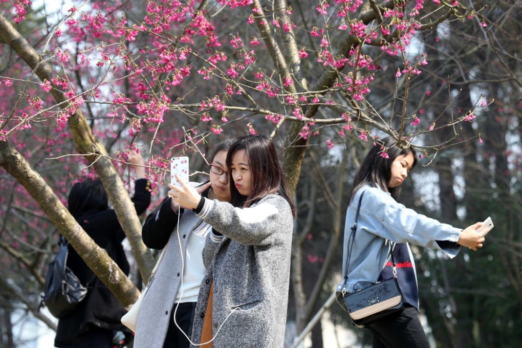 People take selfies with cherry blossoms at a park in China. Young women in Nanjing, Jiangsu province, are being offered up to 80,000 yuan to sell their eggs. Photo: Xinhua