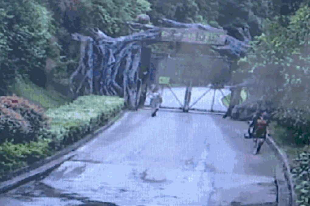 Closed-circuit TV captures the three near the entrance to the tiger enclosure at the zoo in Changsha. Photo: Handout