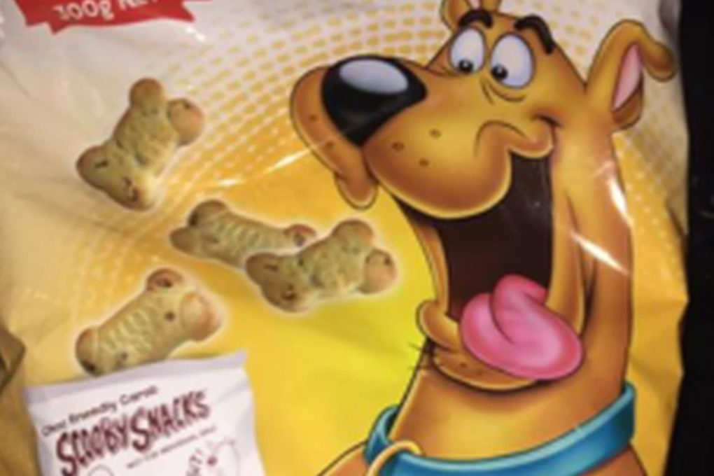 New Zealand mothers feed children Scooby Snacks unaware that they re dog treats South China Morning Post
