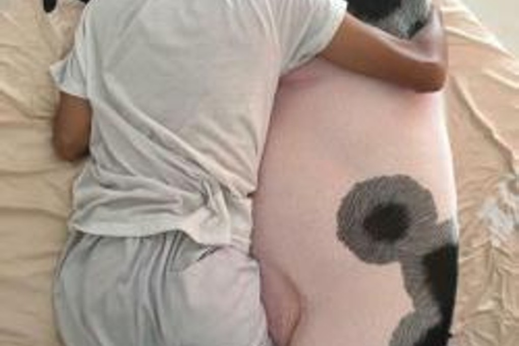 Photo: www.facebook.com/Pigjuniorr/