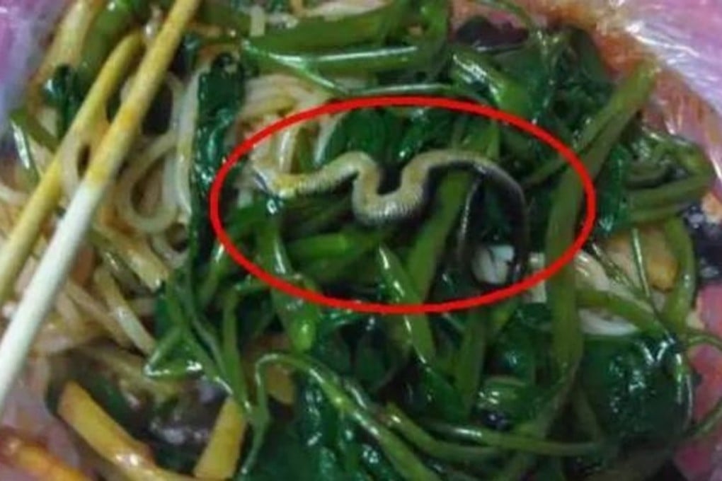 A restaurant in Guangxi was ordered to close after a woman claimed to have found a snake in takeaway noodles. Photo: Handout
